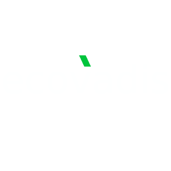 04_EcoVadis_logo.png